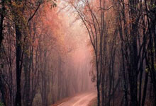 葡萄牙杯冠军意味着什么？